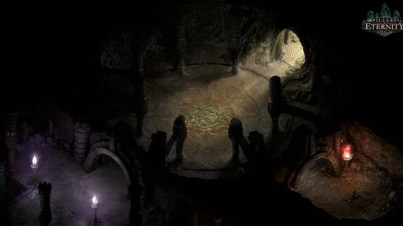 Pillars of Eternity Definitive Edition PC Steam Account - 4