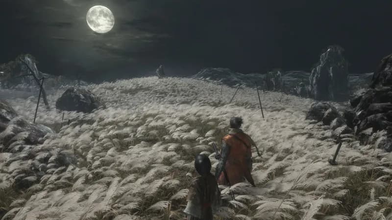 Sekiro: Shadows Die Twice GOTY Edition Steam Account - 3