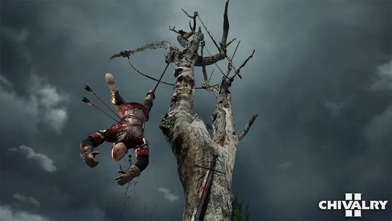Chivalry 2 Special Edition PC Steam Account - 2