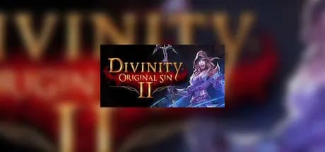 Divinity: Original Sin 2 Eternal Edition Steam Account