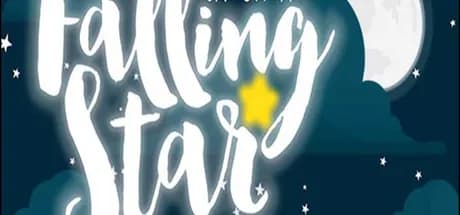 Catch a Falling Star PC Steam CD Key