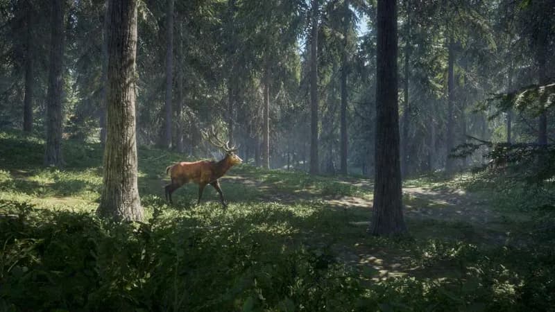theHunter: Call of the Wild US Steam CD Key - 5