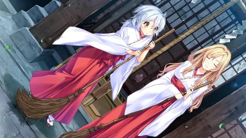 Wild Romance Steam CD Key - 3