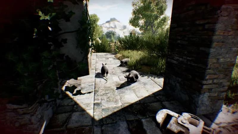 Die Young PC Steam CD Key - 3