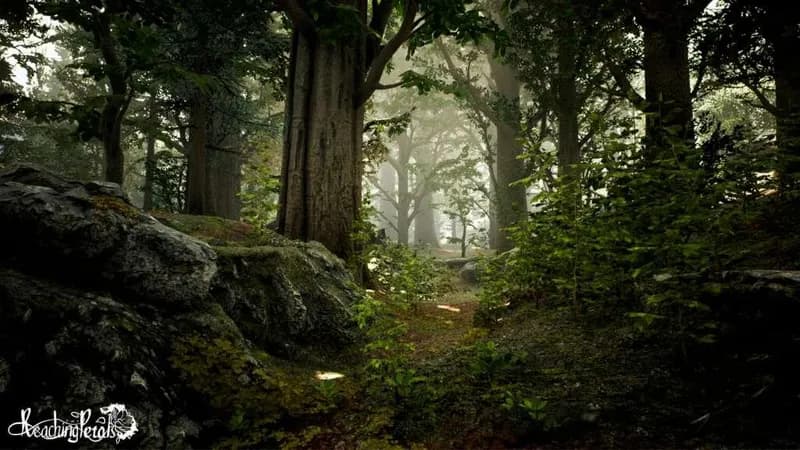 Reaching for Petals Steam CD Key - 4