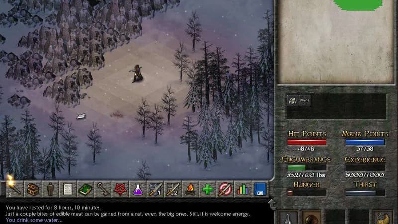 Eschalon Book II Steam CD Key - 5