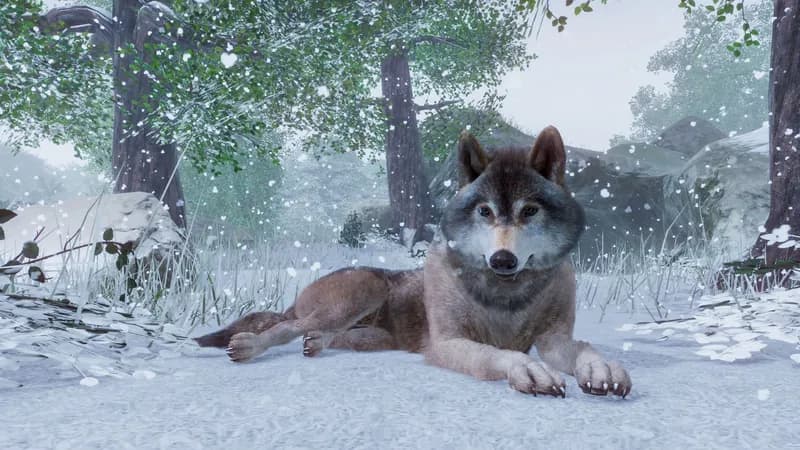 Planet Zoo: Premium Edition 2023 Steam Account - 2