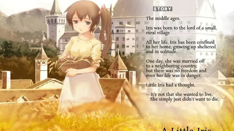 Narcissu 10th Anniversary Anthology Project - Season Pass DLC Steam CD Key - 3