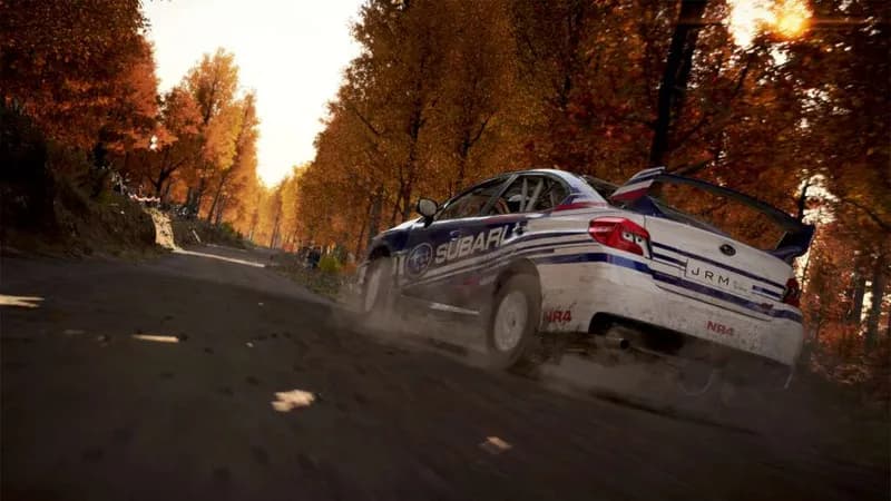 DiRT 4 PC Steam CD Key - 3