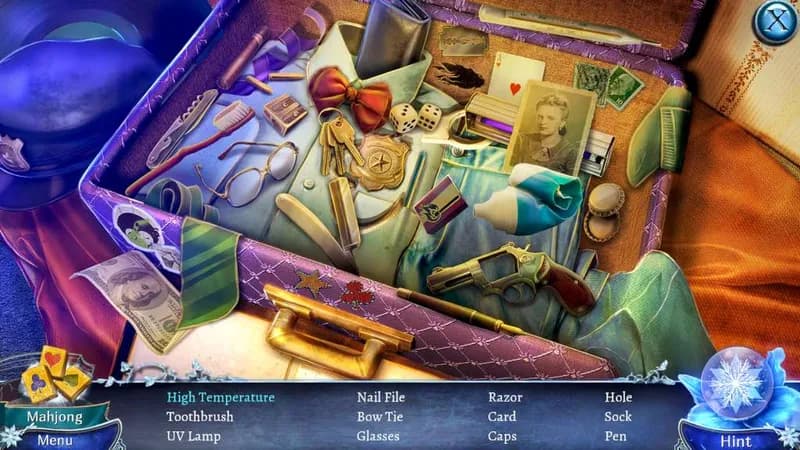 Crime Secrets: Crimson Lily Steam CD Key - 4