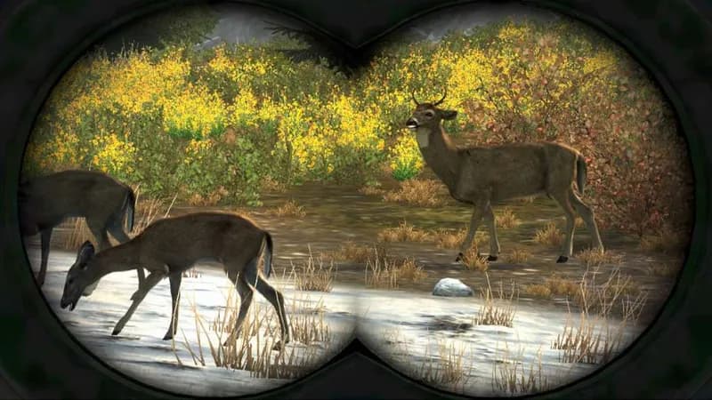 Cabela's Big Game Hunter Pro Hunts Steam CD Key - 5