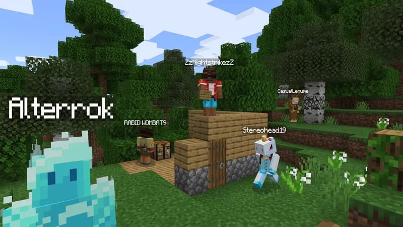 Minecraft: Java & Bedrock Edition PC Windows Account - 2
