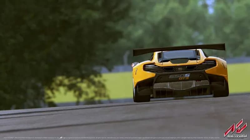Assetto Corsa + Dream Packs Steam CD Key - 5