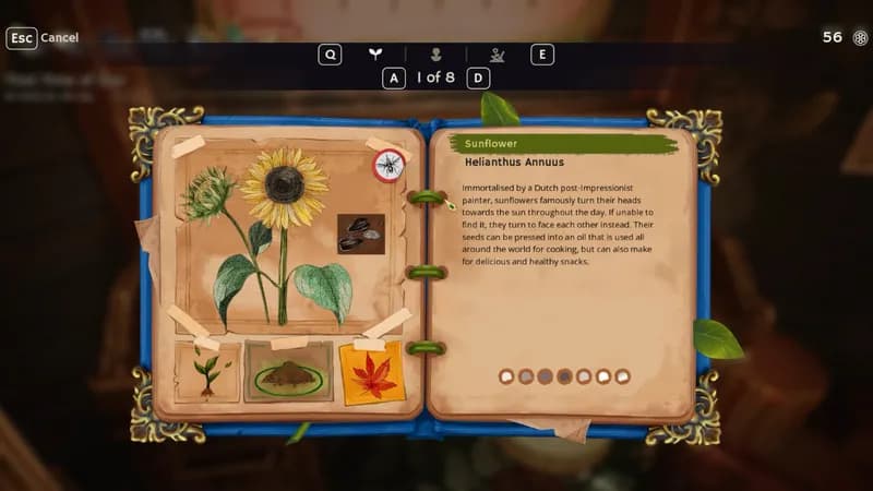 Garden Life: A Cozy Simulator: Supporter Edition PC Steam Account - 5