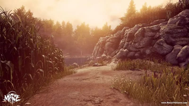 Maize PC Steam CD Key - 4