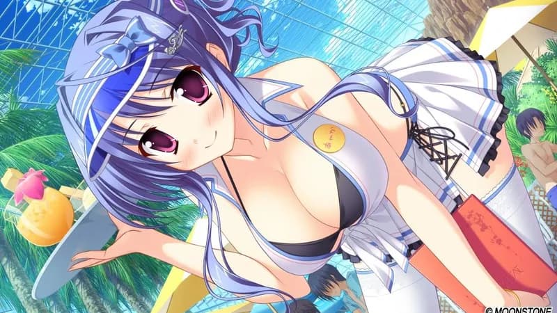 Princess Evangile W Happiness Steam Edition Steam CD Key - 5