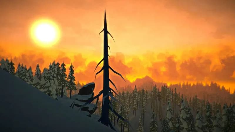 The Long Dark: Survival Mode PC Steam Account - 3