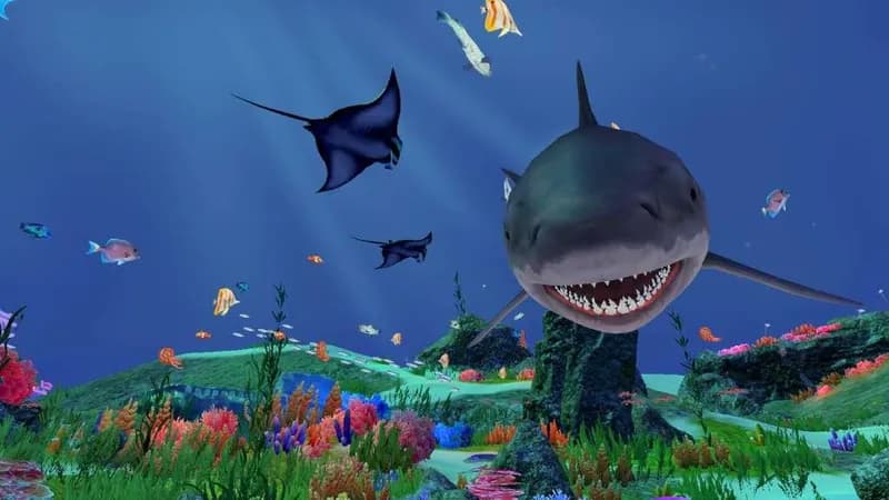 Fancy Fishing VR PC Steam CD Key - 3