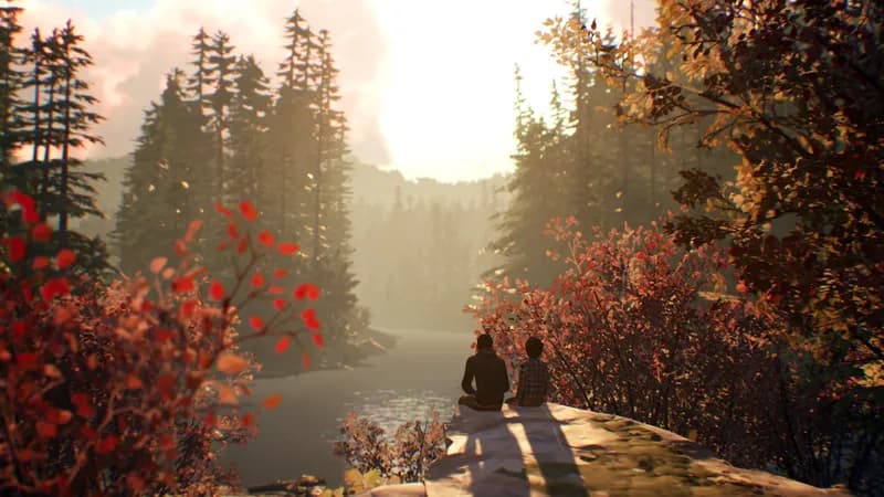 Life is Strange 2 Complete Season Steam Account - 5