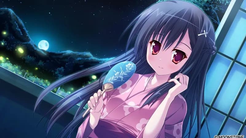 Princess Evangile W Happiness Steam Edition Steam CD Key - 6