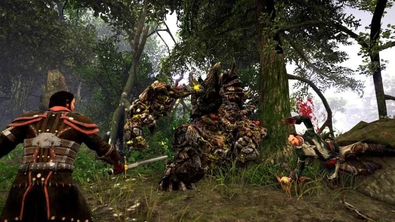 Risen 3: Titan Lords - Fog Island DLC Steam CD Key - 5