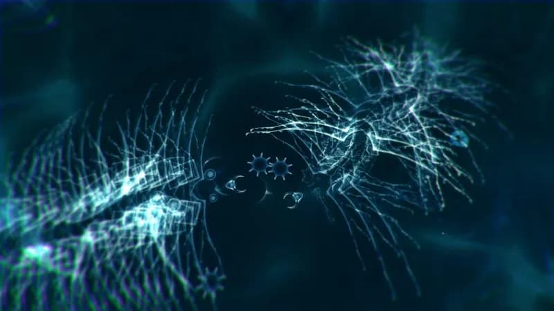 The Sparkle Bundle Steam CD Key - 3