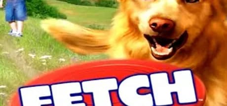 Fetch It Again Steam CD Key
