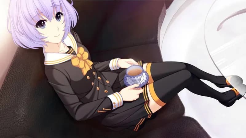 Sunrider: Liberation Day Captain's Edition Steam CD Key - 3