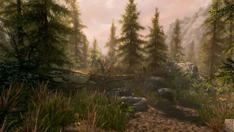 The Elder Scrolls V: Skyrim Special Edition PC Steam CD Key - 5
