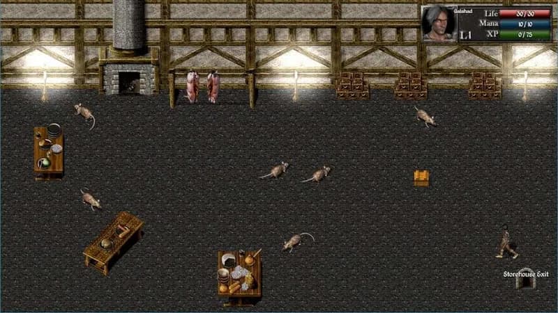 Catacombs 1: Demon War PC Steam CD Key - 5