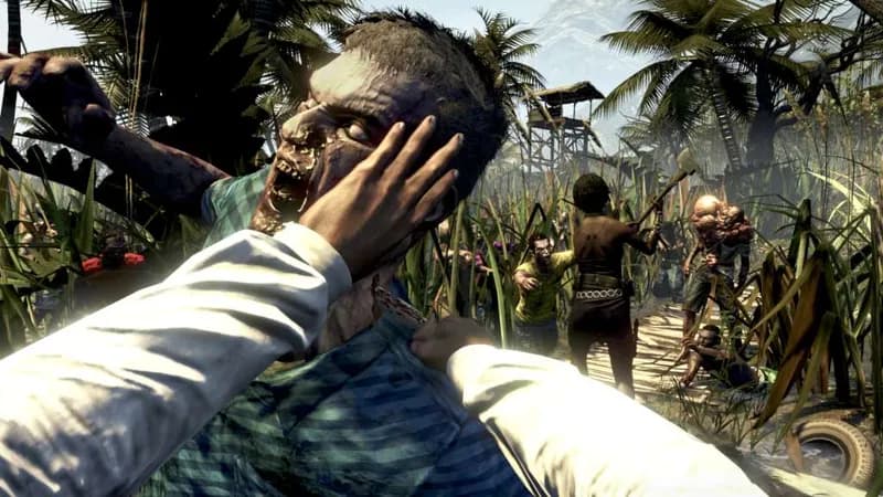Dead Island GOTY + Saints Row: The Third DLC Bundle Steam CD Key - 3