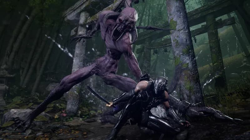 NINJA GAIDEN 4 Deluxe Edition PC Steam Account - 4