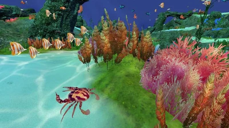 Fancy Fishing VR PC Steam CD Key - 6