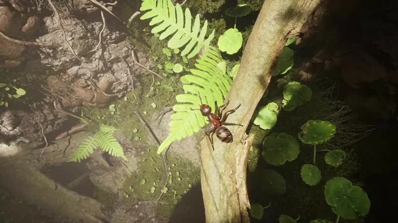 Empire of the Ants Digital Deluxe Edition PC Steam Account - 3