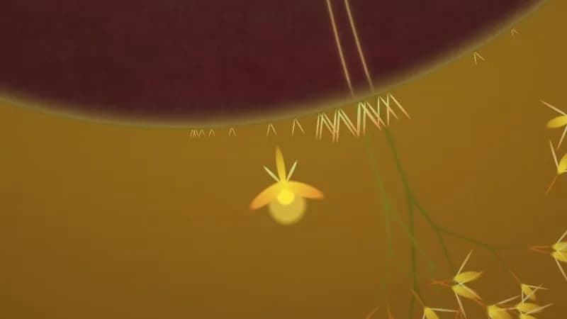 Eufloria Steam CD Key - 4
