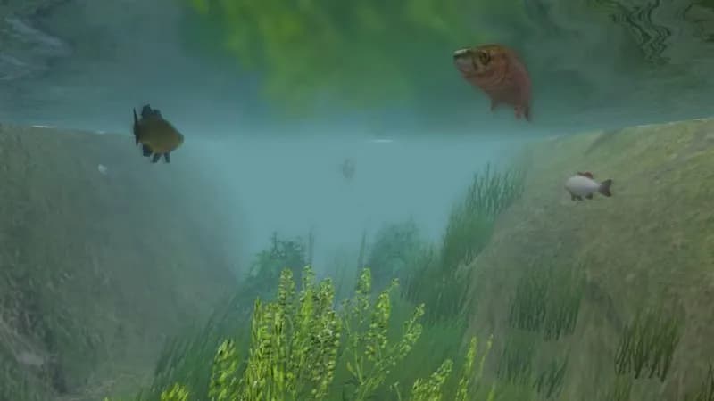 European Fishing Steam CD Key - 4