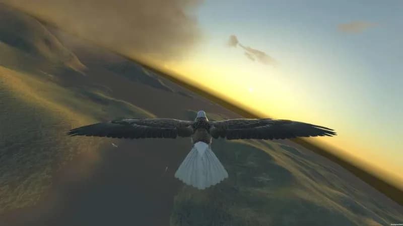 Aquila Bird Flight Simulator Steam CD Key - 6