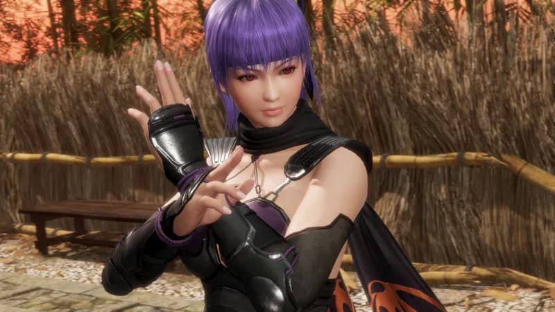 DEAD OR ALIVE 6 Last Round PC Steam Account - 3