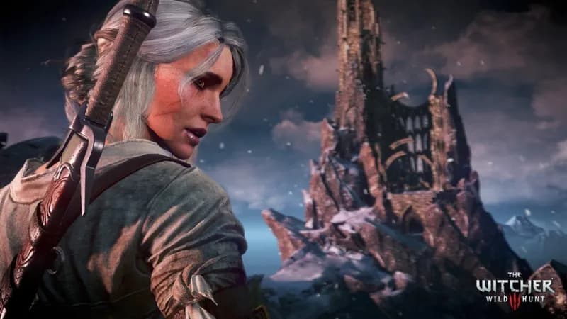 The Witcher 3: Wild Hunt Complete Edition PC Steam Account - 5