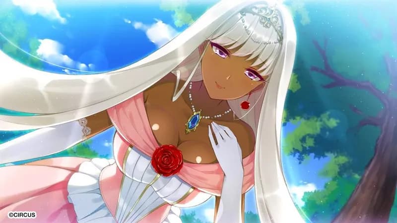 Space Live: Advent of the Net Idols Steam CD Key - 4