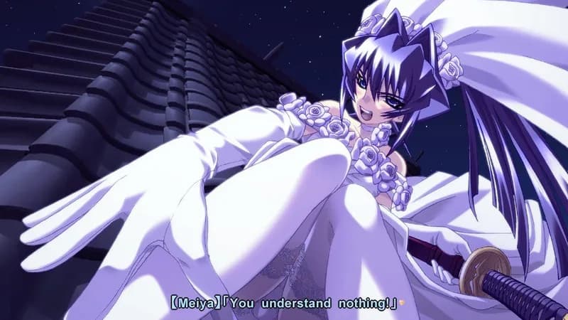 Muv-Luv Steam CD Key - 2