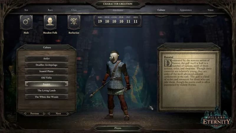 Pillars of Eternity Champion Edition Steam CD Key - 3