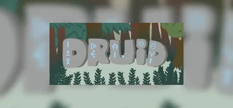 Druid Steam CD Key
