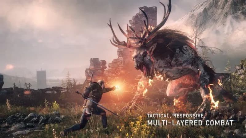 The Witcher Trilogy PC Steam Account - 2