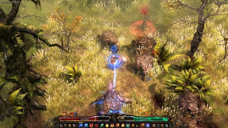 Grim Dawn Definitive Edition Steam Account - 5