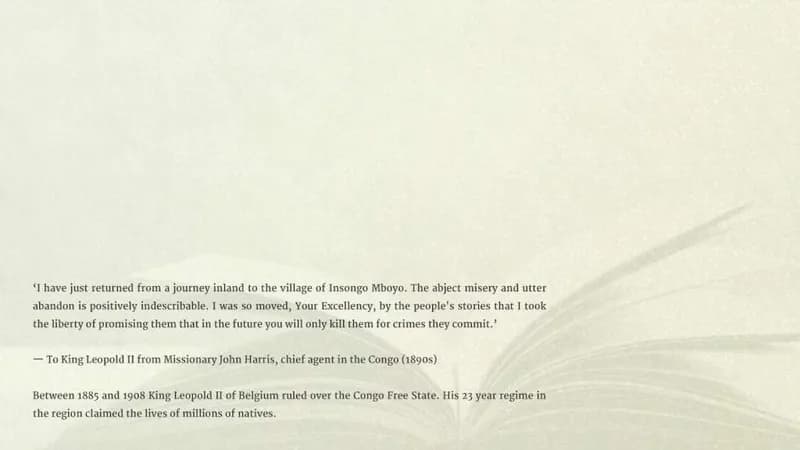 Unheard Screams - King Leopold II rule over the Congo Steam CD Key - 4
