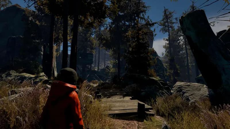 Through the Woods: Collector's Edition Steam CD Key - 5