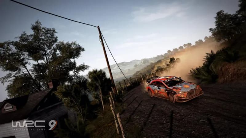 WRC 9 FIA World Rally Championship Deluxe Edition PC Steam Account - 3