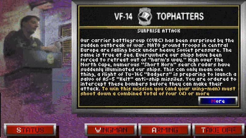 Fleet Defender: The F-14 Tomcat Simulation Steam CD Key - 3