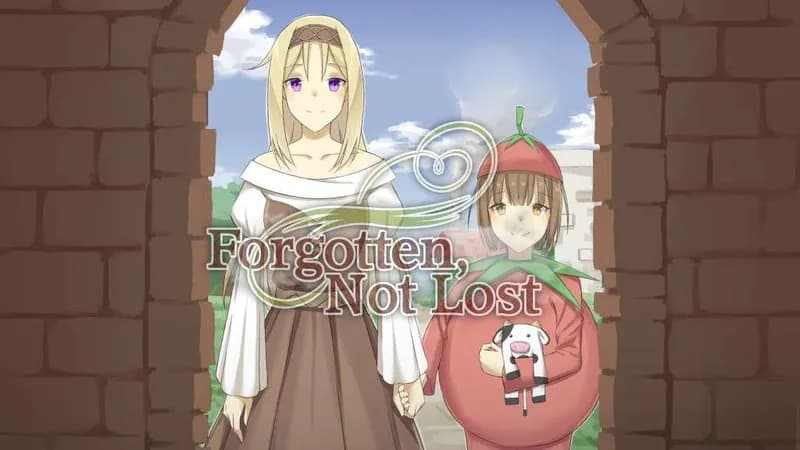 Forgotten, Not Lost - A Kinetic Novel PC Steam CD Key - 3